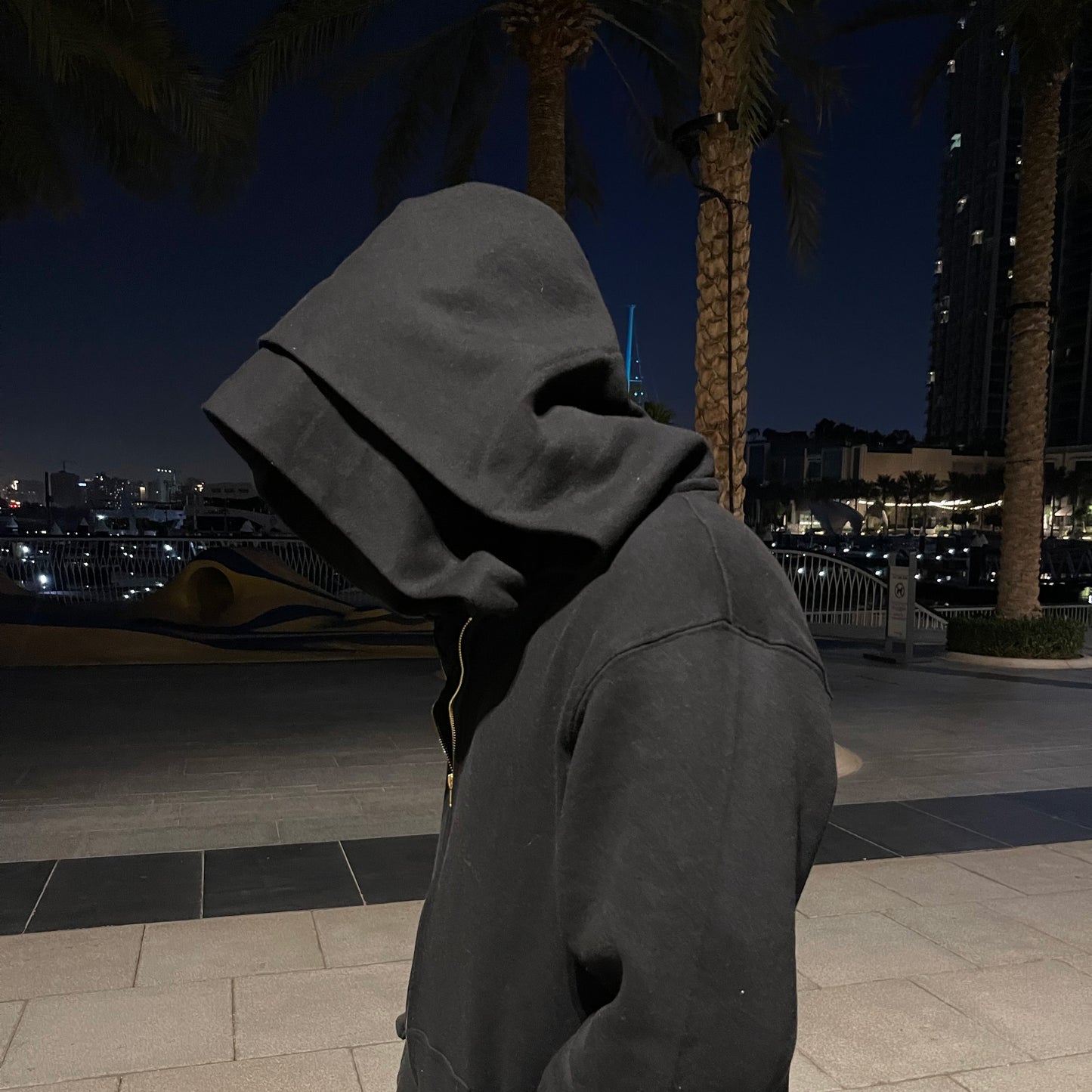 Shadow Line Hoodie